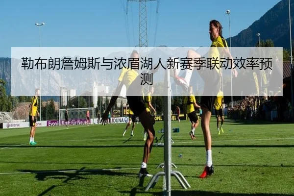 勒布朗詹姆斯与浓眉湖人新赛季联动效率预测